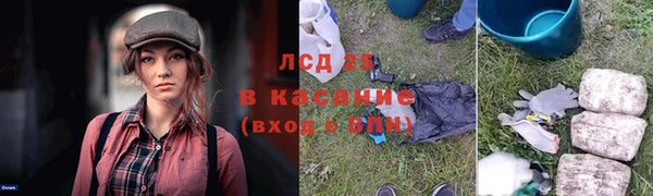 эйфоретик Аркадак