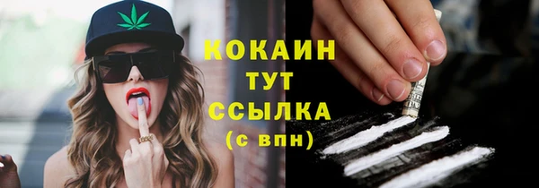 крисы Балахна