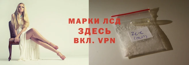 крисы Балахна