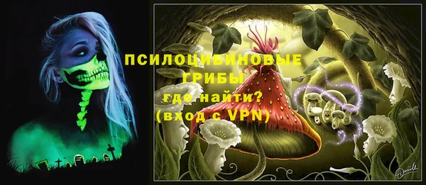 эйфоретик Аркадак